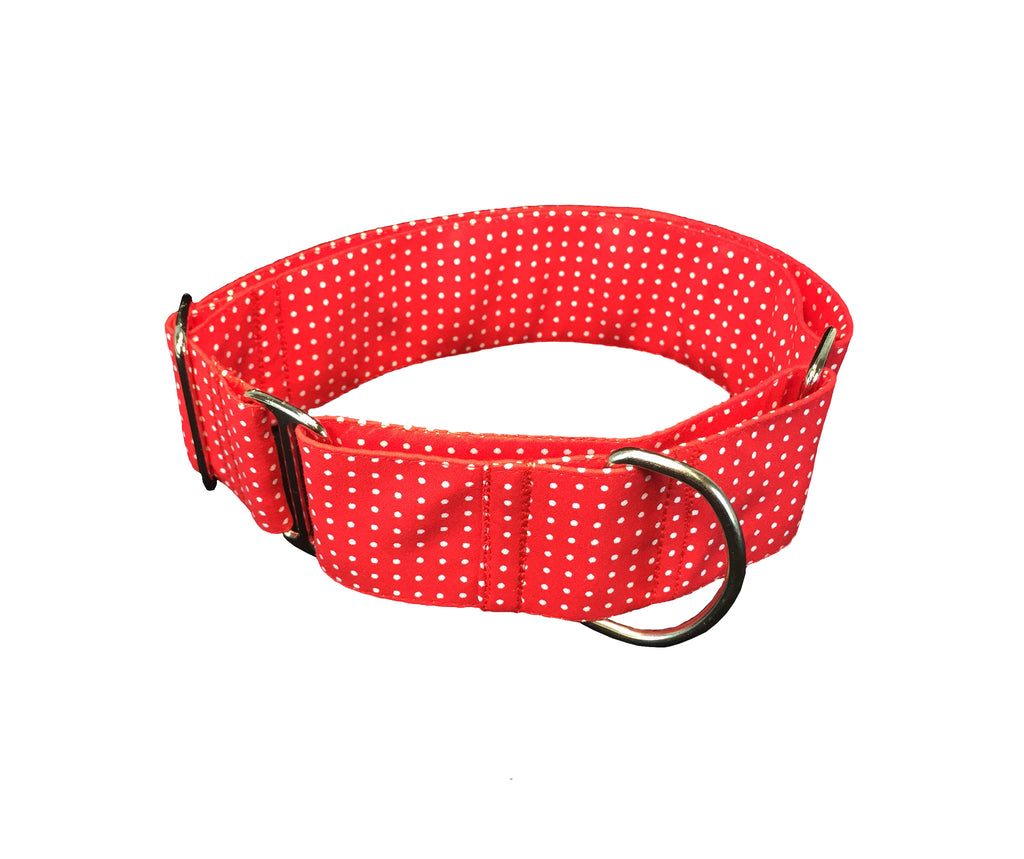 Este tipo de collar para perro no lleva cierre y es muy cómodo para las mascotas, es un collar antiescape.